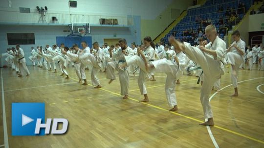 11 listopada Mistrzostwa Europy EKO Kyokushin/Shinkyokushin