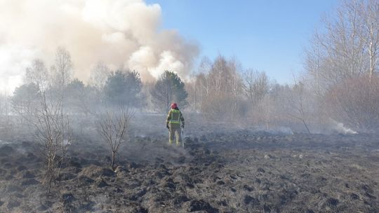 13 interwencji straży w ciągu jednego dnia