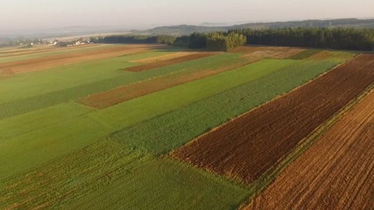 150 tys. zł premii dla młodego rolnika. Wnioski od 3 czerwca