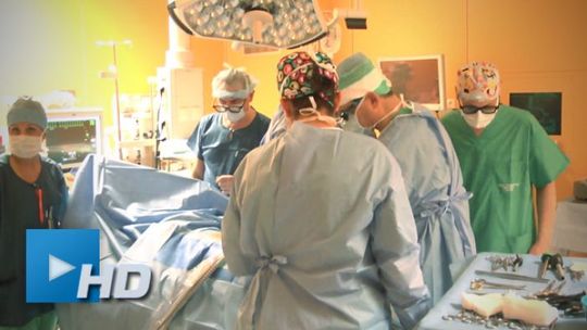 26 października Światowy Dzień Donacji i Transplantacji