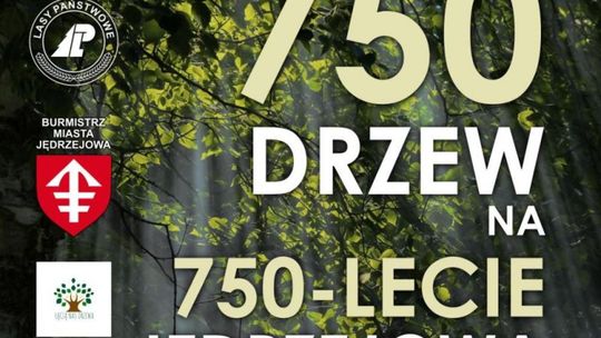 750 drzew na 750 lecie Jędrzejowa