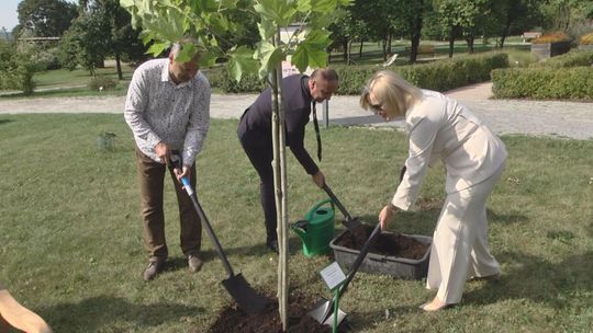 80 lat Pedagogicznej Biblioteki Wojewódzkiej: Jubileusz z nowym drzewkiem "Gustaw" i literackimi wydarzeniami w Kielcach