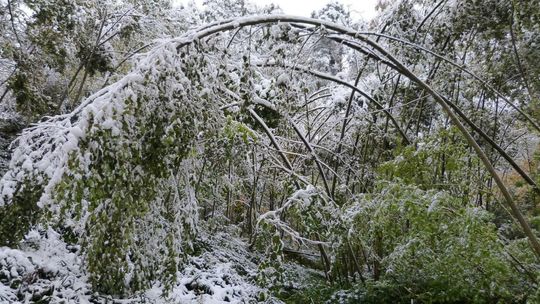 Alert pogodowy. "Możliwe utrudnienia komunikacyjne"