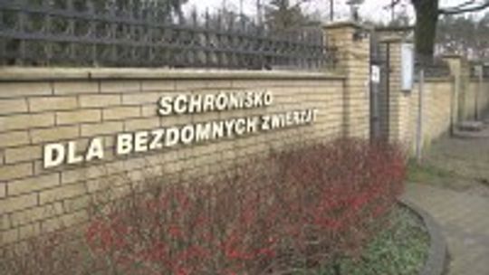 "Arka Nadziei" nadal będzie zarządzać schroniskiem