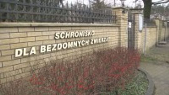 Arka Nadziei nadal pokieruje schroniskiem w Dyminach?