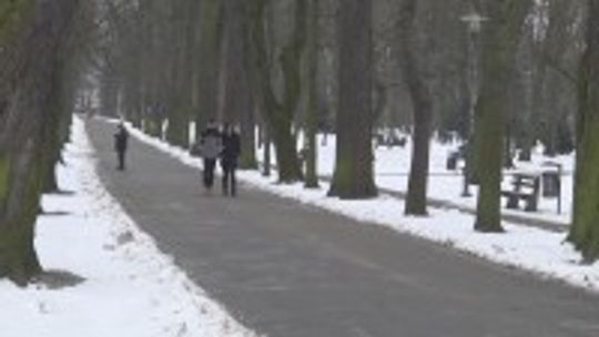 Astronomiczna wiosna już jest, choć zima nie odpuszcza