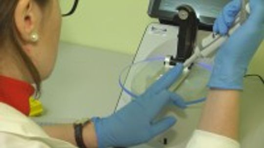 Bezpłatne badania wykrywające boreliozę stawową. Wystarczy wypełnić ankietę