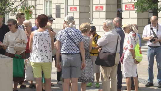 „Budujemy tylko beton w Kielcach”. Mieszkańcy przeciwko wycince drzew