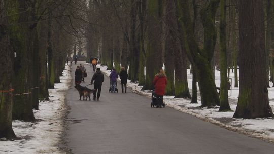 "Burza" wokół rewaloryzacji parku w Kielcach