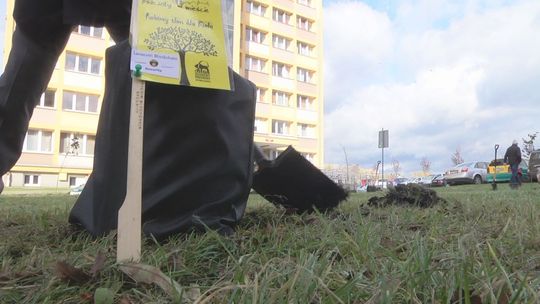 Chcą szerzyć wiedzę na temat ochrony środowiska. Studenci Politechniki zasadzili drzewa