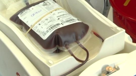 Chcesz oddać osocze? Zapoznaj się z tymi informacjami