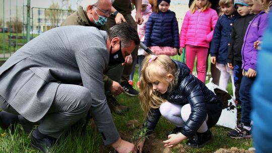 Chcesz zazielenić i dotlenić świat? Dołączy do akcji „Zielony rekord”
