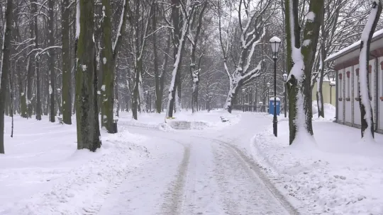 Chodniki zasypane. Odśnieżanie zgodne z harmonogramem