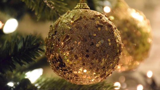 Choinka niejedno ma imię