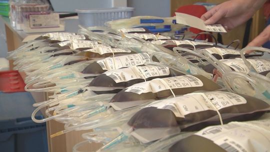 Chorowałeś na koronawirusa i wyzdrowiałeś? Oddaj osocze i pomóż innym