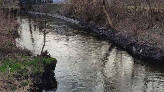 Ciało 64-letniego mężczyzny znalezione w rzece