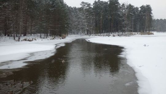 Cicho wszędzie, pięknie wszędzie