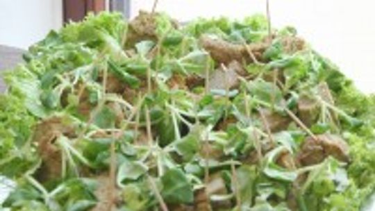 Zdrowe, dietetyczne święta