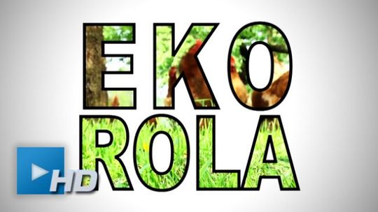 Co kryje się pod szyldem EKO gospodarstw