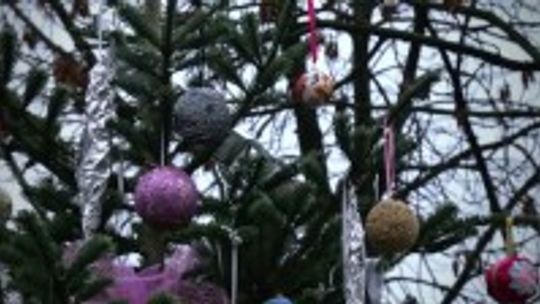 Co z choinką po świętach?