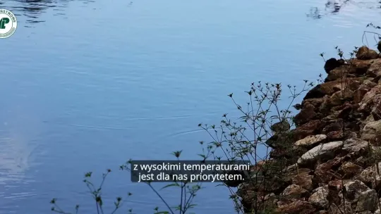 Czas na las: gotowi na zmiany klimatu