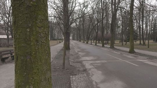 Czekamy na ciepłą i pogodną wiosnę