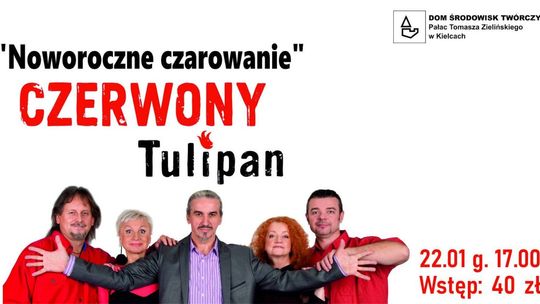 Czerwony Tulipan w Pałacyku Zielińskiego