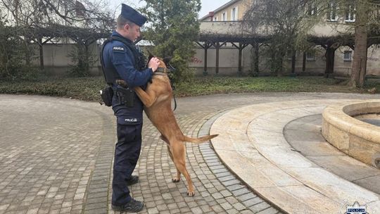 Czworonogi w policji