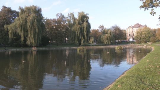 Czy Kielce naprawdę są takie złe? - sonda