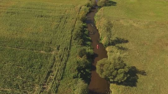 Delta rzeki Nidy ma odzyskać swój pierwotny charakter