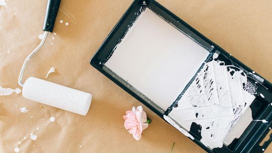 Dlaczego Farby Dekoral cieszą się popularnością?