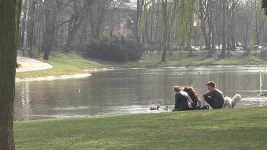 „Dni czystego powietrza”