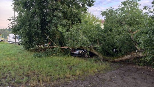Drzewo runęło na samochód, strażacy interweniowali wielokrotnie
