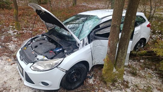 Dwóch mężczyzn trafiło do szpitala