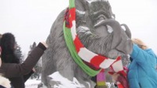 Dzik przed BWA otulony szalikiem