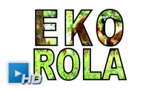 Eko Rola - Świętokrzyskie pasieki pszczele