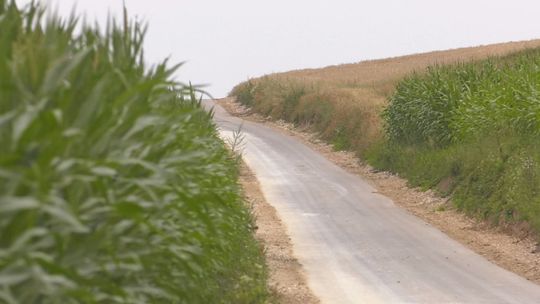 Gmina Działoszyce - Szczotkowice i Iżykowice z dojazdem do gruntów rolnych