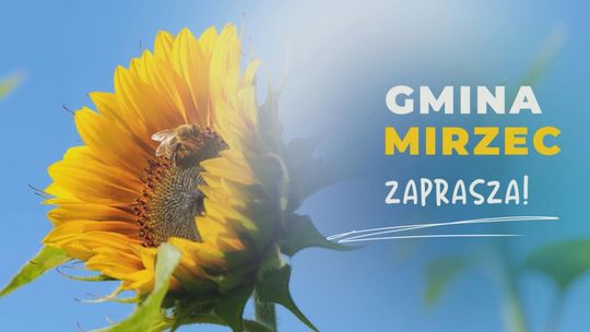 Gmina Mirzec: miejsce dla osób szukających wytchnienia i aktywnego wypoczynku