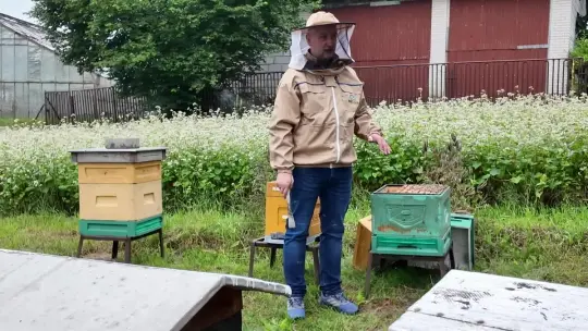 Gmina Mirzec zaprasza do gospodarstw pasiecznych