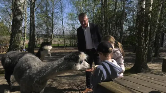 Gmina Mirzec zaprasza do krainy alpak i stadniny koni Pietras