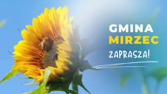 Gmina Mirzec zaprasza do skorzystania z usług w branży HoReCa