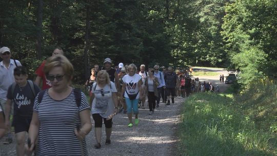 Grzyby, słońce i wspaniała atmosfera. Za nami Powiatowy Letni Marszobieg