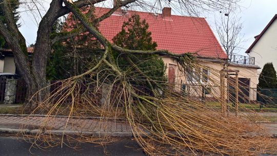 MGW: nadciąga niż Dudley; porywy wiatru wyniosą nawet 110 km/h