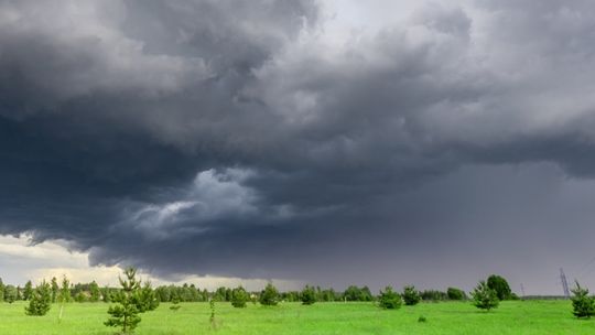 IMGW ostrzega przed silnym wiatrem w ośmiu województwach