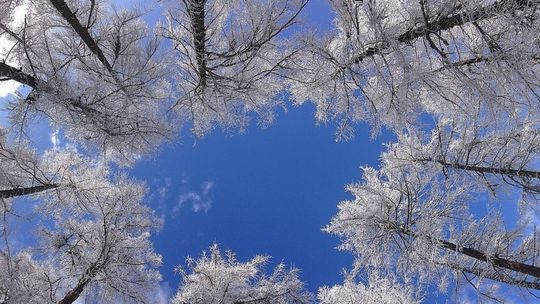 IMGW: w tym tygodniu będzie pogodnie, ale zimno