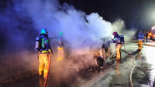 Jaguar spalił się na drodze