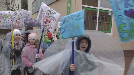 Jak chronić środowisko naturalne?