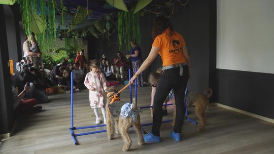 Jak rozmawiać trzeba z psem? Warsztaty dogoterapii