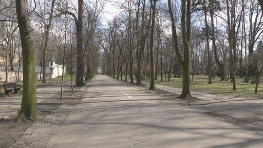 Jak zmieni się Kielecki Park Miejski?