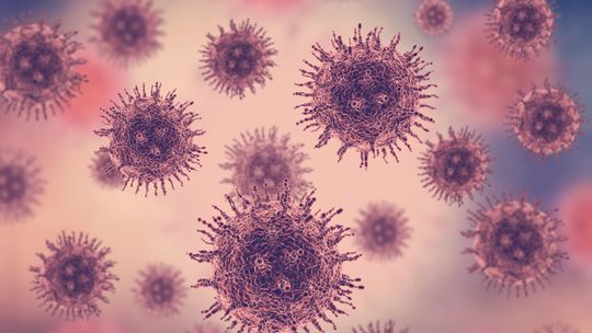 Jakie choroby wywołuje wirus HPV? Objawy u kobiet i mężczyzn, drogi zakażenia i profilaktyka